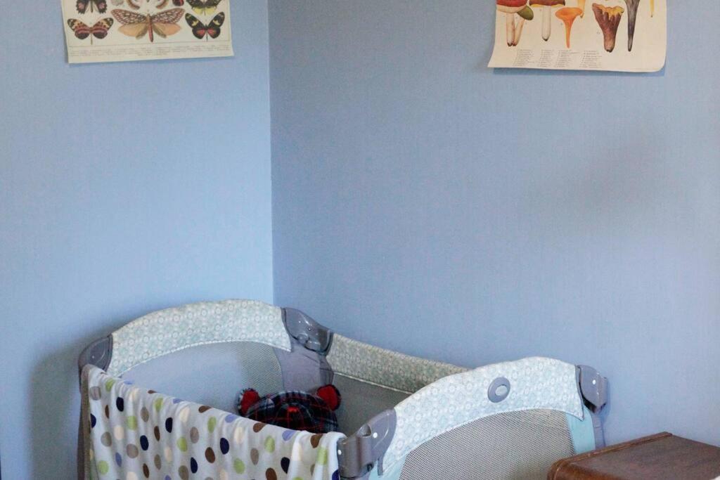 Beautiful, Historic Family Home Near Lake Merritt Oakland Ngoại thất bức ảnh