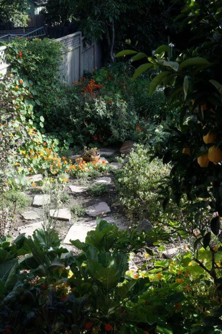 Beautiful, Historic Family Home Near Lake Merritt Oakland Ngoại thất bức ảnh