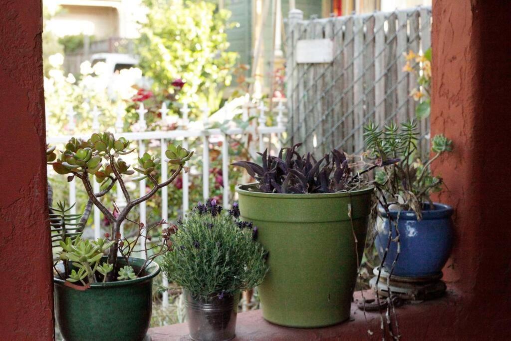 Beautiful, Historic Family Home Near Lake Merritt Oakland Ngoại thất bức ảnh